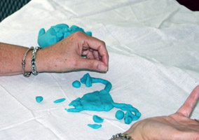 Teaching anatomy